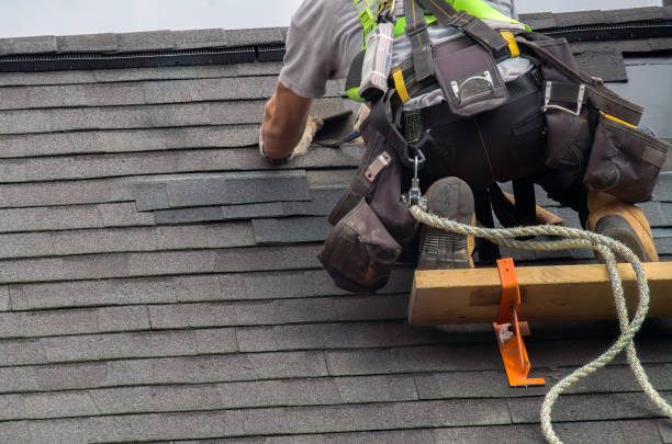 Best Flat Roof Repair Services  in Momence, IL