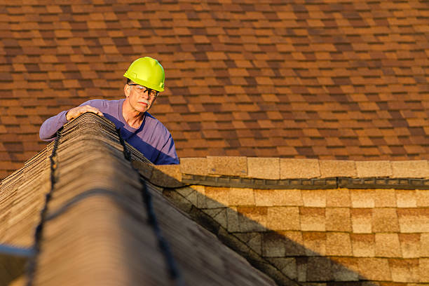 Best Storm Damage Roof Repair  in Momence, IL