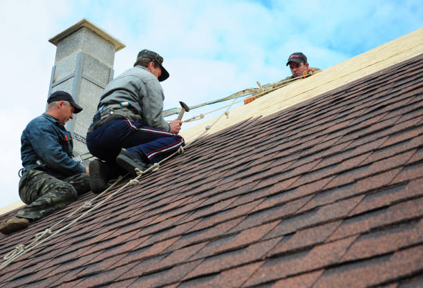 Roof Repair Estimates in Momence, IL