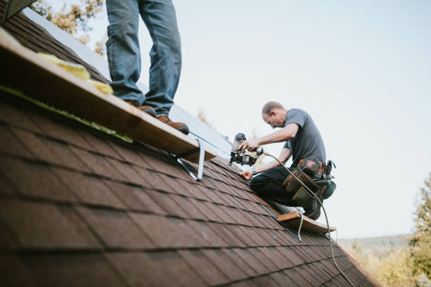 Roof Gutter Cleaning in Momence, IL